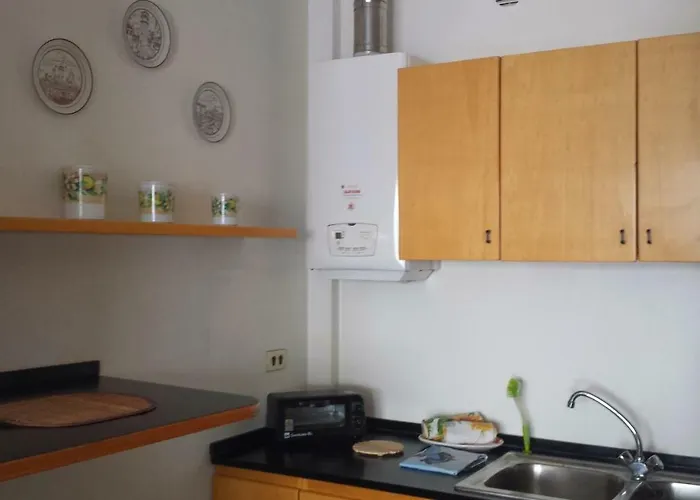 Amazing River View 公寓 维罗纳